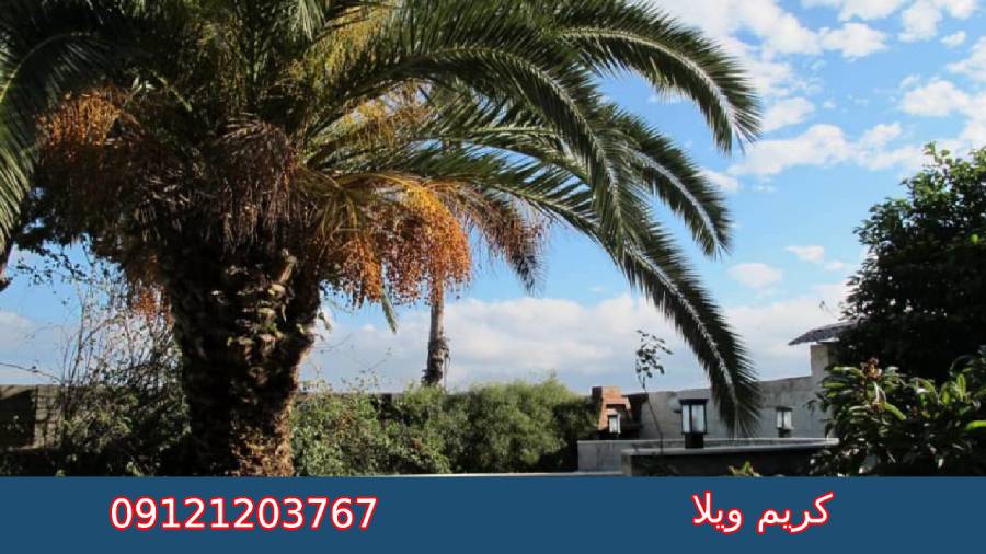 راهنمای کامل قیمت ویلا در ونوش